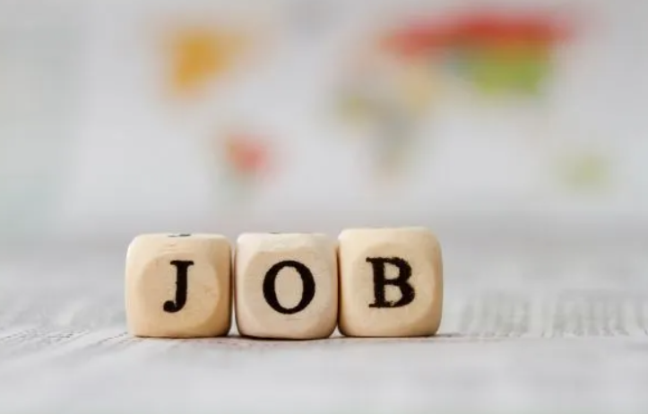 Internship Image